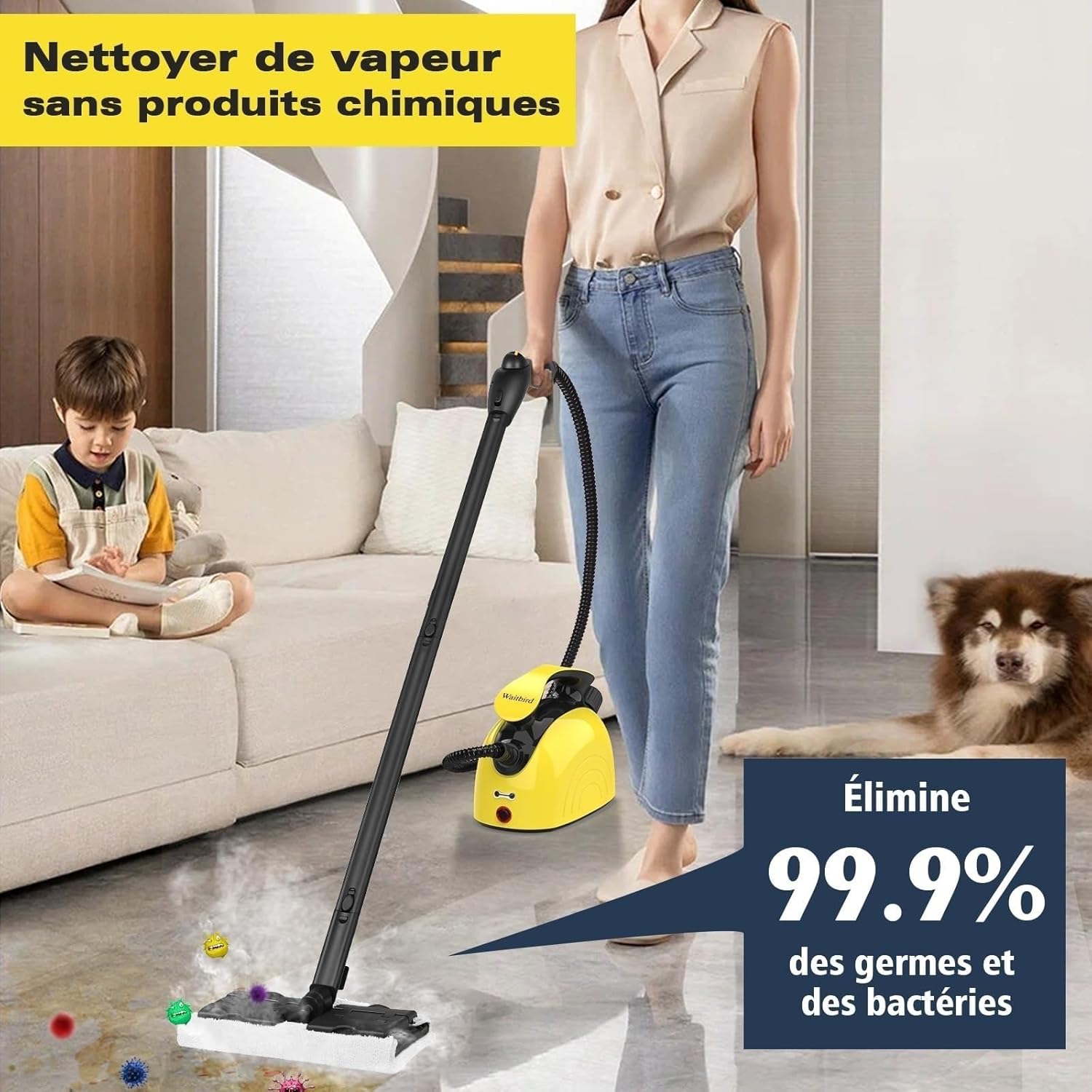 Waitbird - Nettoyeur vapeur 21 accessoires, 248°F, sols & canapés