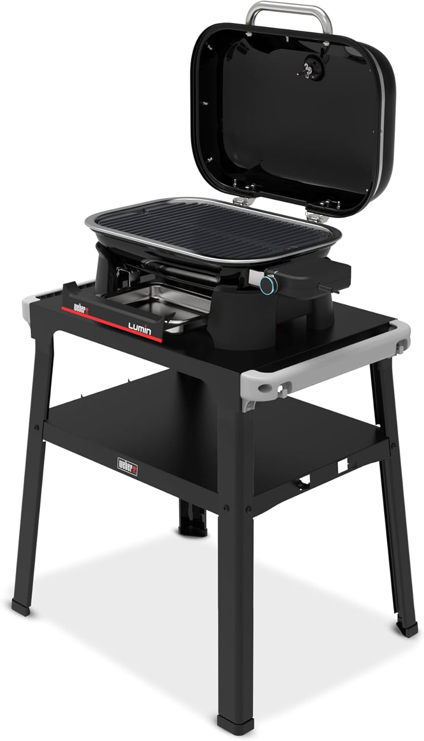 Weber - Lumin Compact - 43×32 cm - Thermomètre, fonte émaillée, jusqu'à 315°C - 1501653