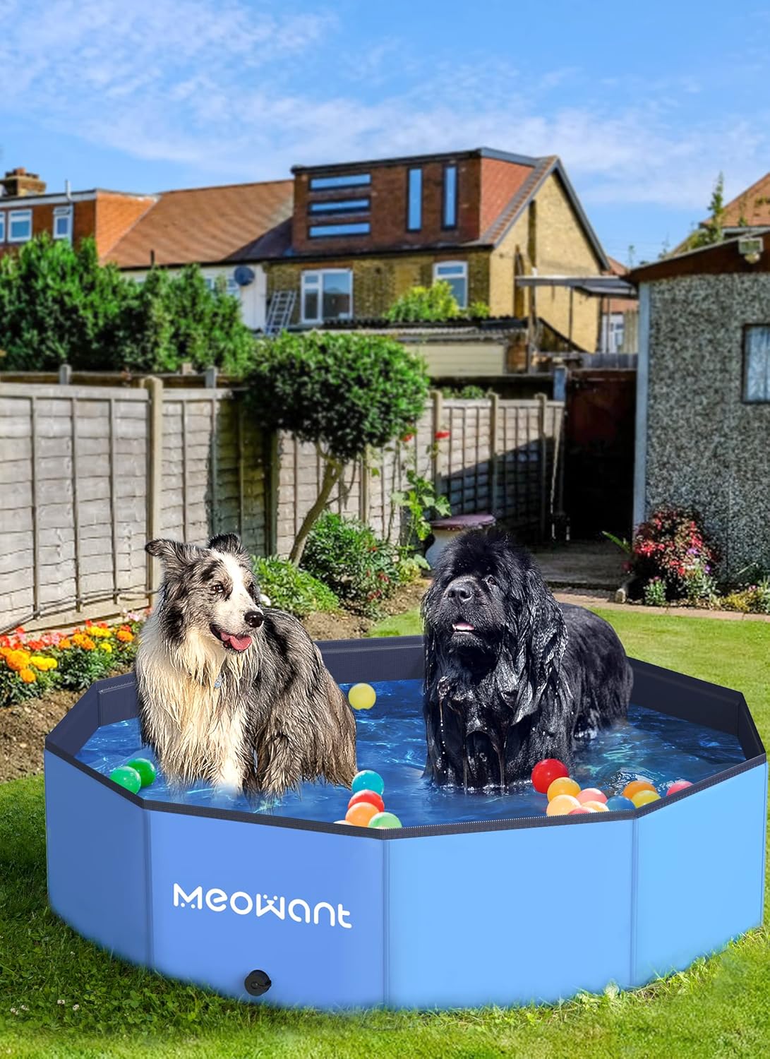 Meowant Piscine pour Chiens, Piscines Pliables pour Chiens de Grande Taille, Piscine de Bain pour Animaux de Compagnie, Baignoire Portable Antidérapante pour Chien Intérieure et Extérieure(160 * 30)