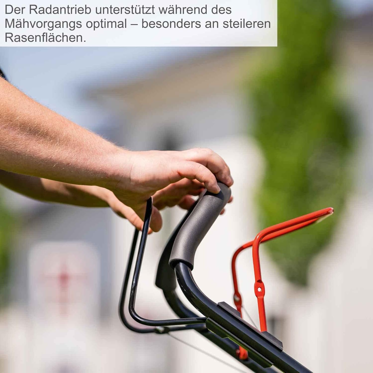 Scheppach Tondeuse à Gazon à Essence MS230-53 – Moteur 4 Temps 6 CV 4400 W – Largeur de Coupe 53 cm – Jardins de 1800 m² – Hauteur de Coupe réglable – Bac de 65 l – Fonction Mulching – Huile Incluse