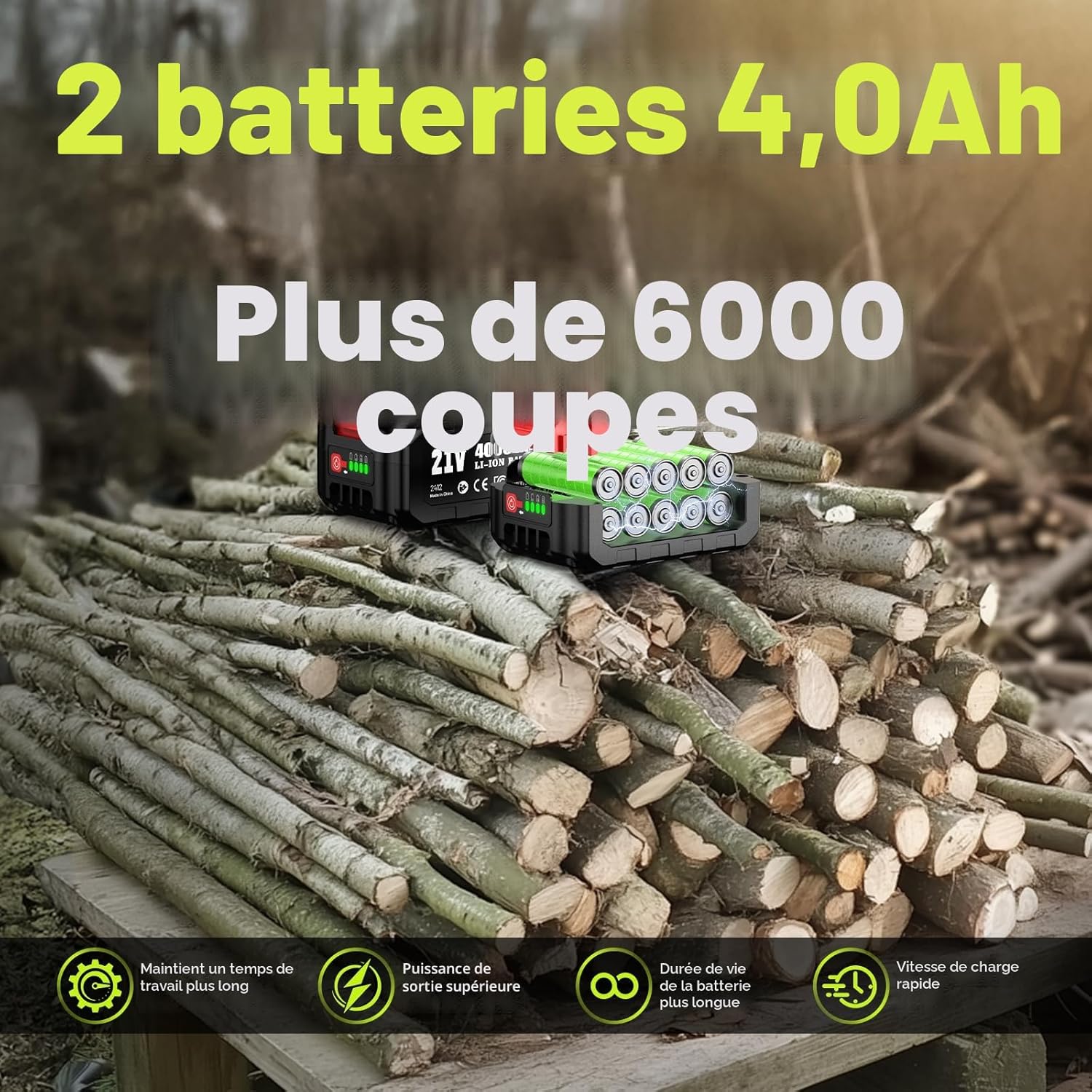 Supstable - élagueuse sur perche 6 pouces, portée 4,6m, 2x4000mAh