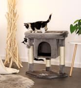 un arbre à chat avec un chat au sommet