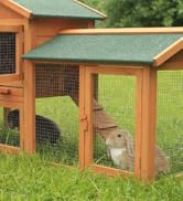lapins en cage dans un jardin