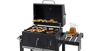 Barbecue au charbon de bois, chariot.