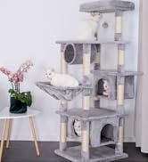 l'arbre à chat est un arbre à chat qui peut être utilisé comme arbre à chat.