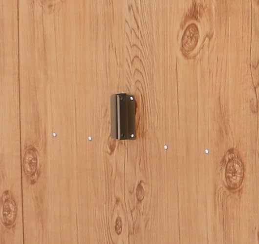 Duramax - Alpine série - 10x10 (9,75m²) - abri métal toit renforcé, acier galvanisé, sans entretien