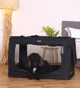 le meilleur couvre-lit pour chien