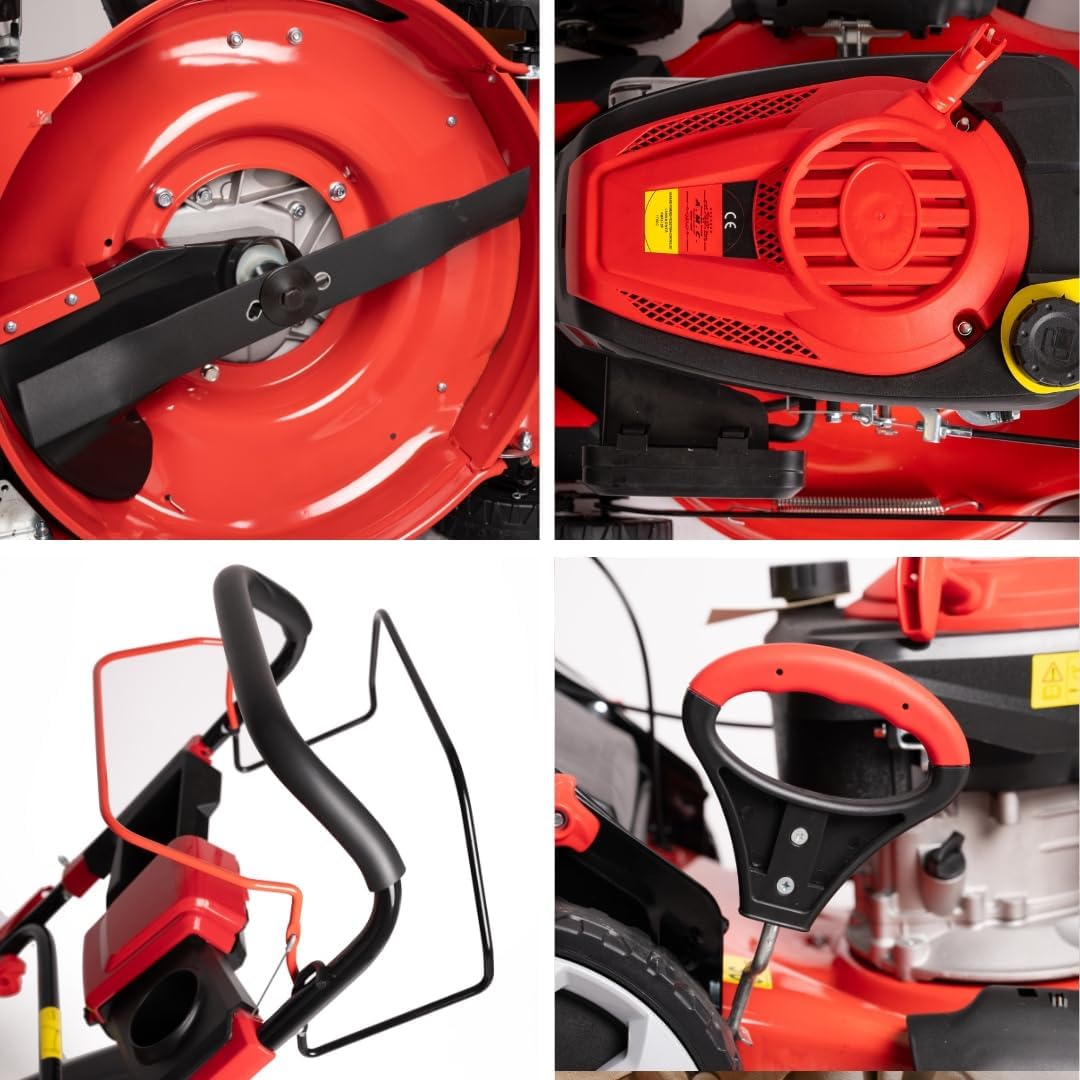 A.M.C. Tondeuse à gazon à explosion automotrice 4in1-4 CV, Tondeuse à gazon thermique autoportée - Moteur 170cc 4 temps avec autotraction - Largeur de coupe 51 cm - Mulching - Panier de collecte 60L