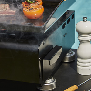 PLANCHA SILVIA II G 3F PLAQUE ACIER BRASERO