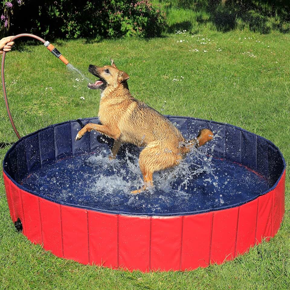 lionto - Piscine pliable Ø160x30cm - PVC antidérapant, bouchon vidange