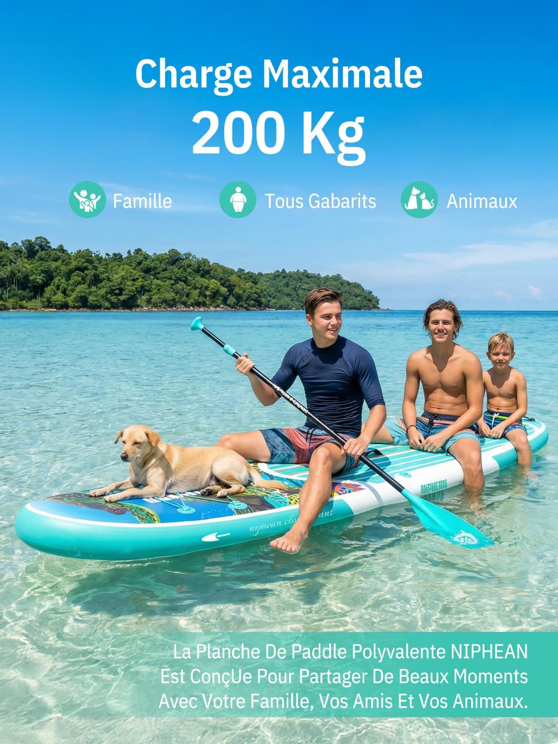 Niphean Paddle Gonflable Adulte avec Tous Les Accessoires, 320cm Planches de Stand Up Paddle Gonflables pour Tous Les Niveaux, Sup avec Capacité 200 kg pour 2 Personnes, Paddle Gonflable avec Siège