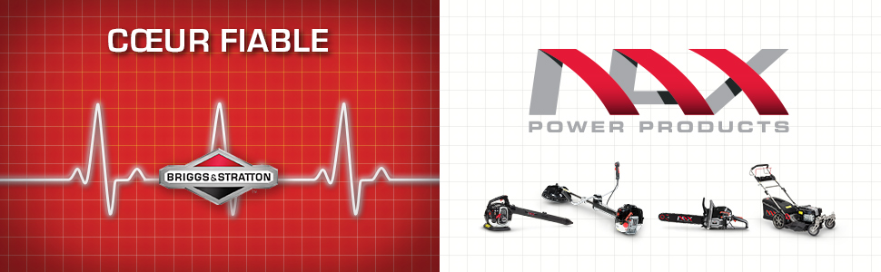 NAX POWER PRODUCTS 3001S Motor Briggs & Stratton Serie 650EX 1631cm3 ReadyStart Mähbreite 51 cm