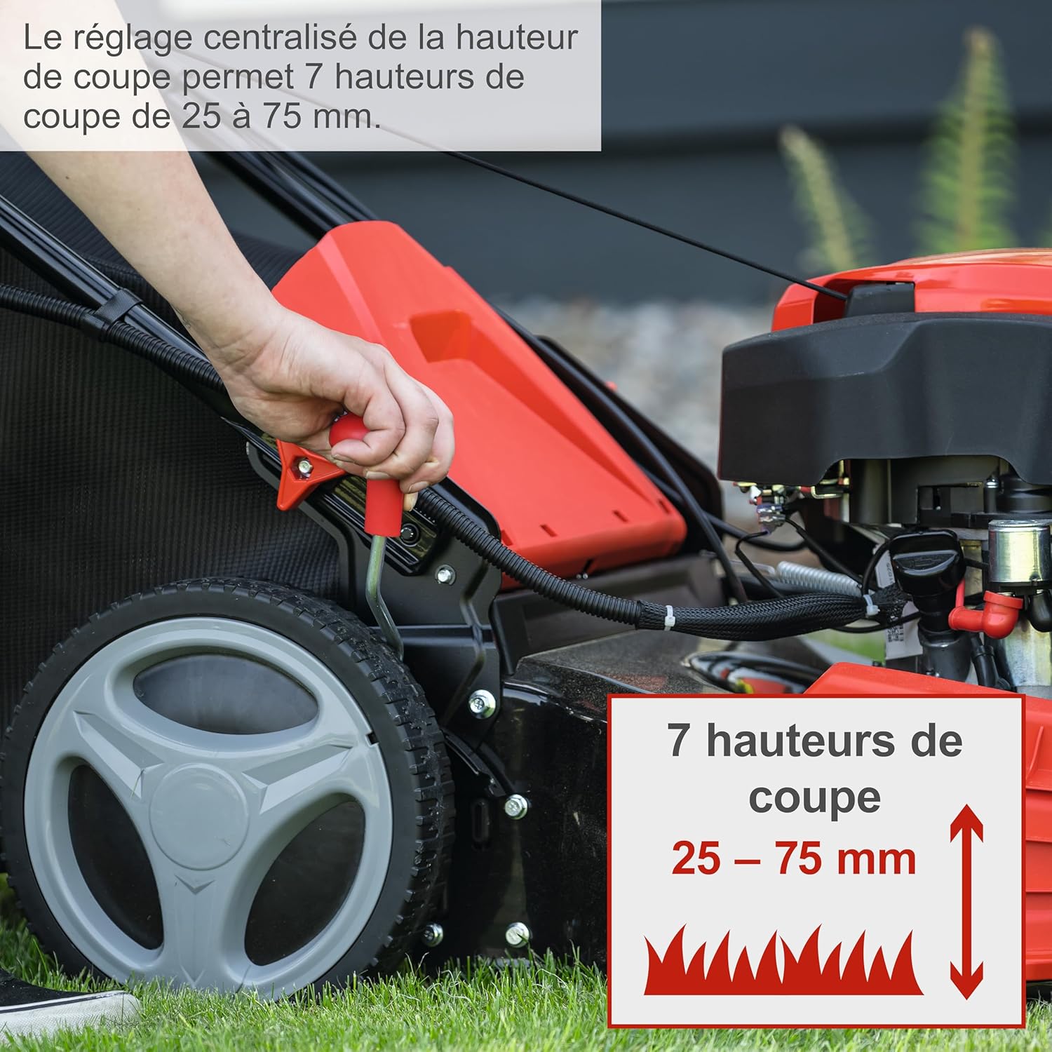 Scheppach - Tondeuse hybride 53 cm, 4400 W, 65 L, démarrage électrique - MS225-53E