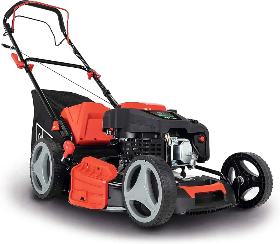 Scheppach - Tondeuse thermique autotractée - 53cm - 6CV, mulching, 65L, réglage hauteur, MS225-53