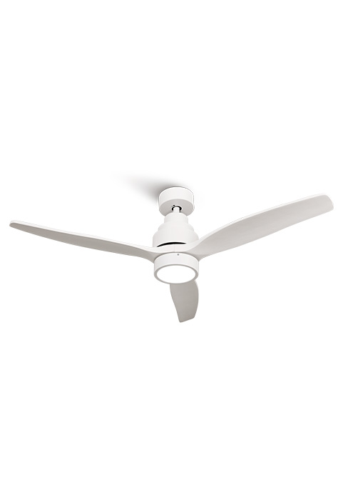 Schéma ou schéma technique montrant différentes vues et composants d'un ensemble de ventilateurs de plafond.