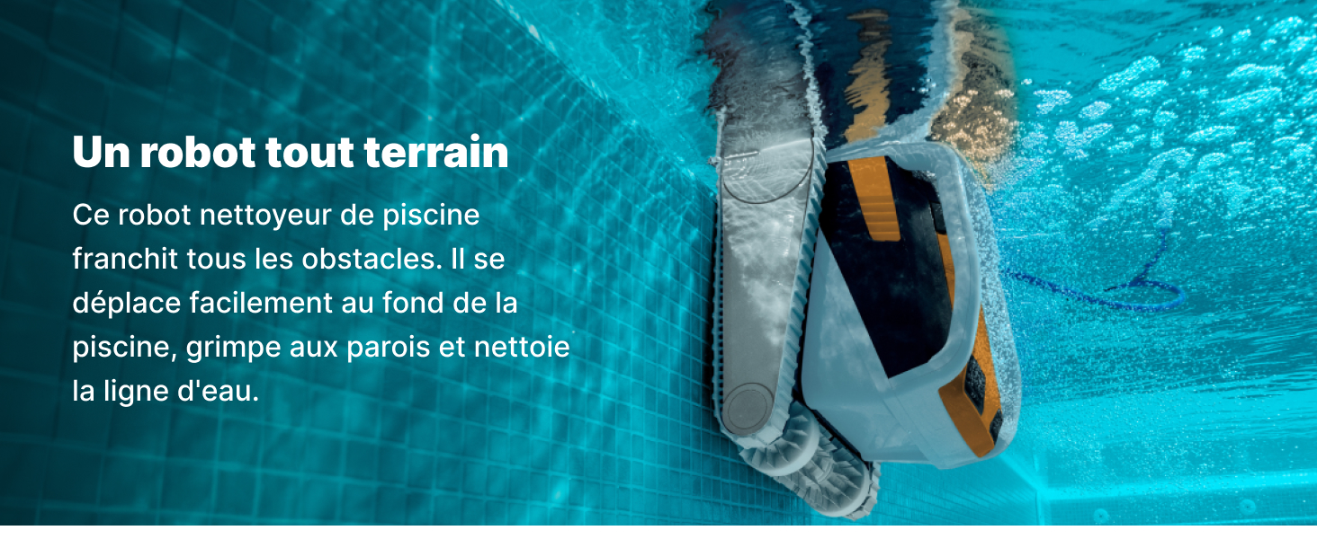 Dolphin E60i