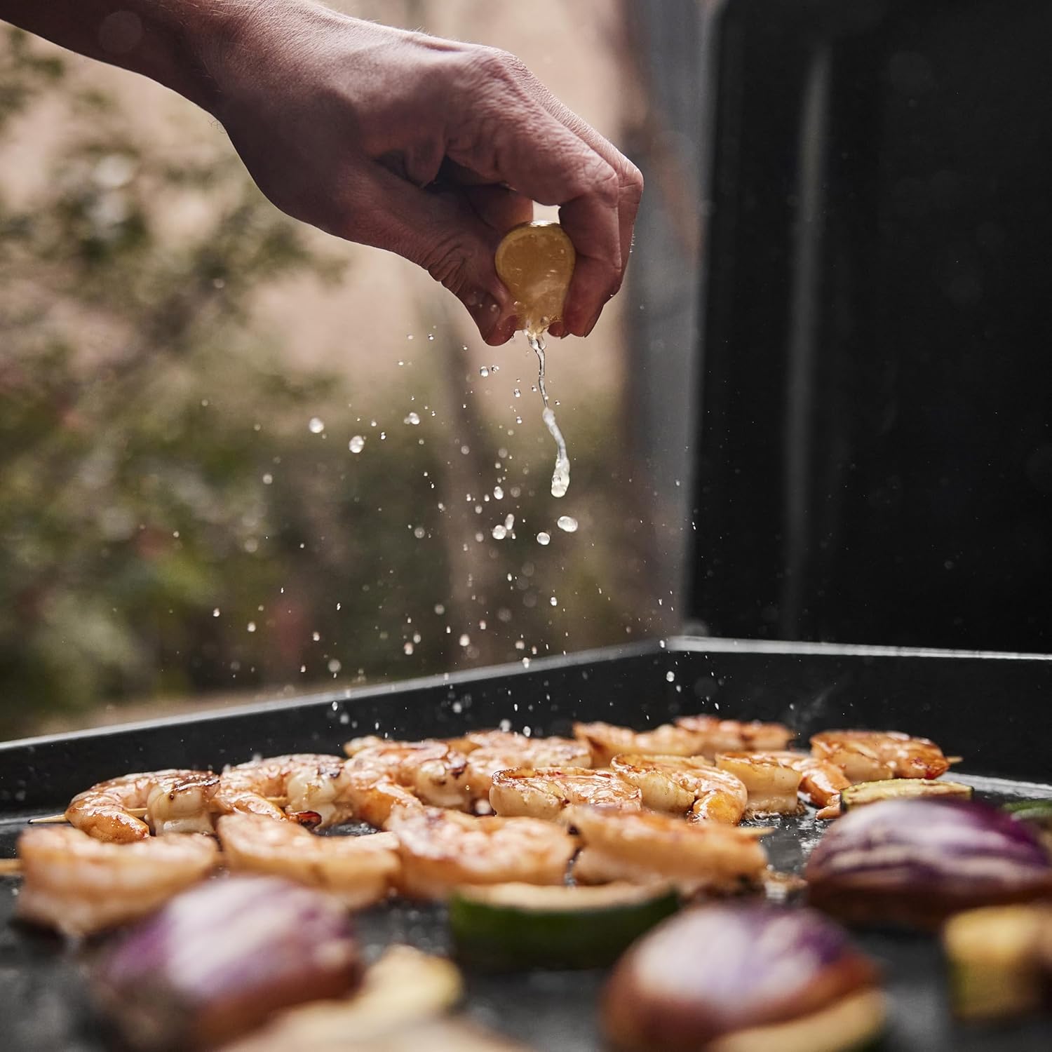 Weber - SLATE GP Premium - 43x41 cm - plancha émaillée, pieds réglables