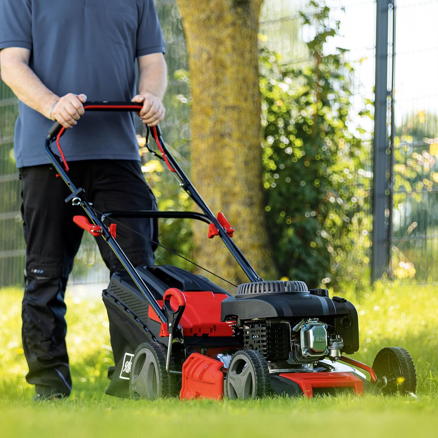 Scheppach - Tondeuse thermique MS225-53 - 53 cm - 6 CV, mulching, 65L