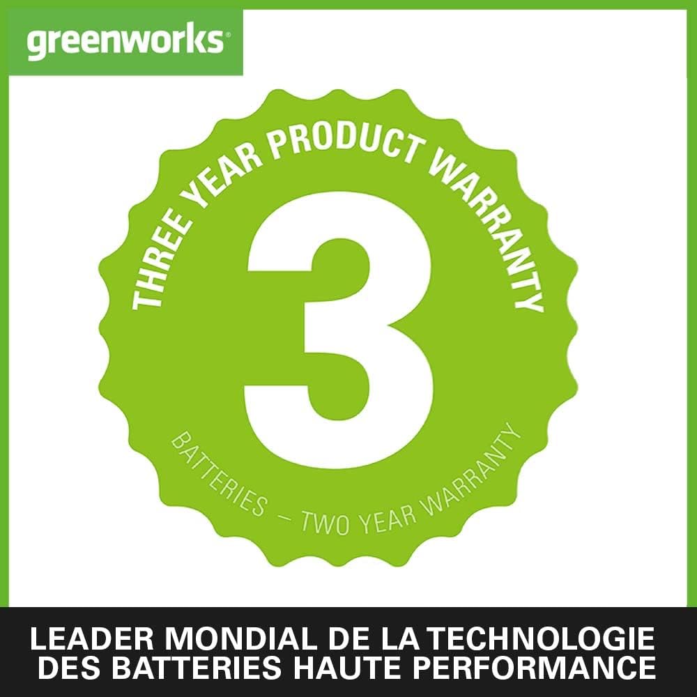 Greenworks - Tronçonneuse sans fil série 48V - 35cm - moteur sans balais, vitesse 20m/s, 2 batteries 24V 4Ah, graisseur 