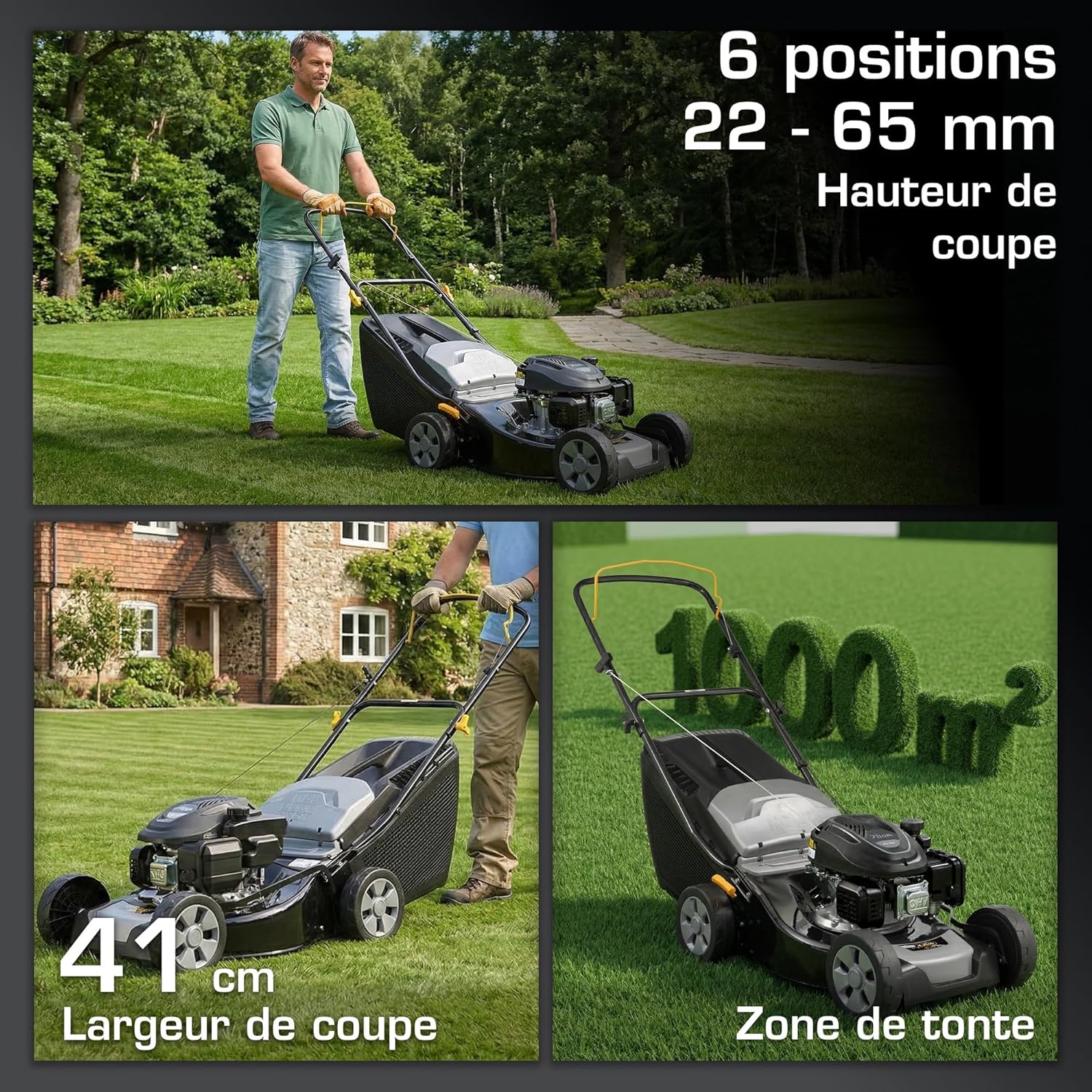 Alpina AL4 41 A Tondeuse À Gazon Poussée, 1900 W, 41 cm – Bac 60 L, Réglage Centralisé 6 Positions – Pelouses jusqu'à 1 000 m²