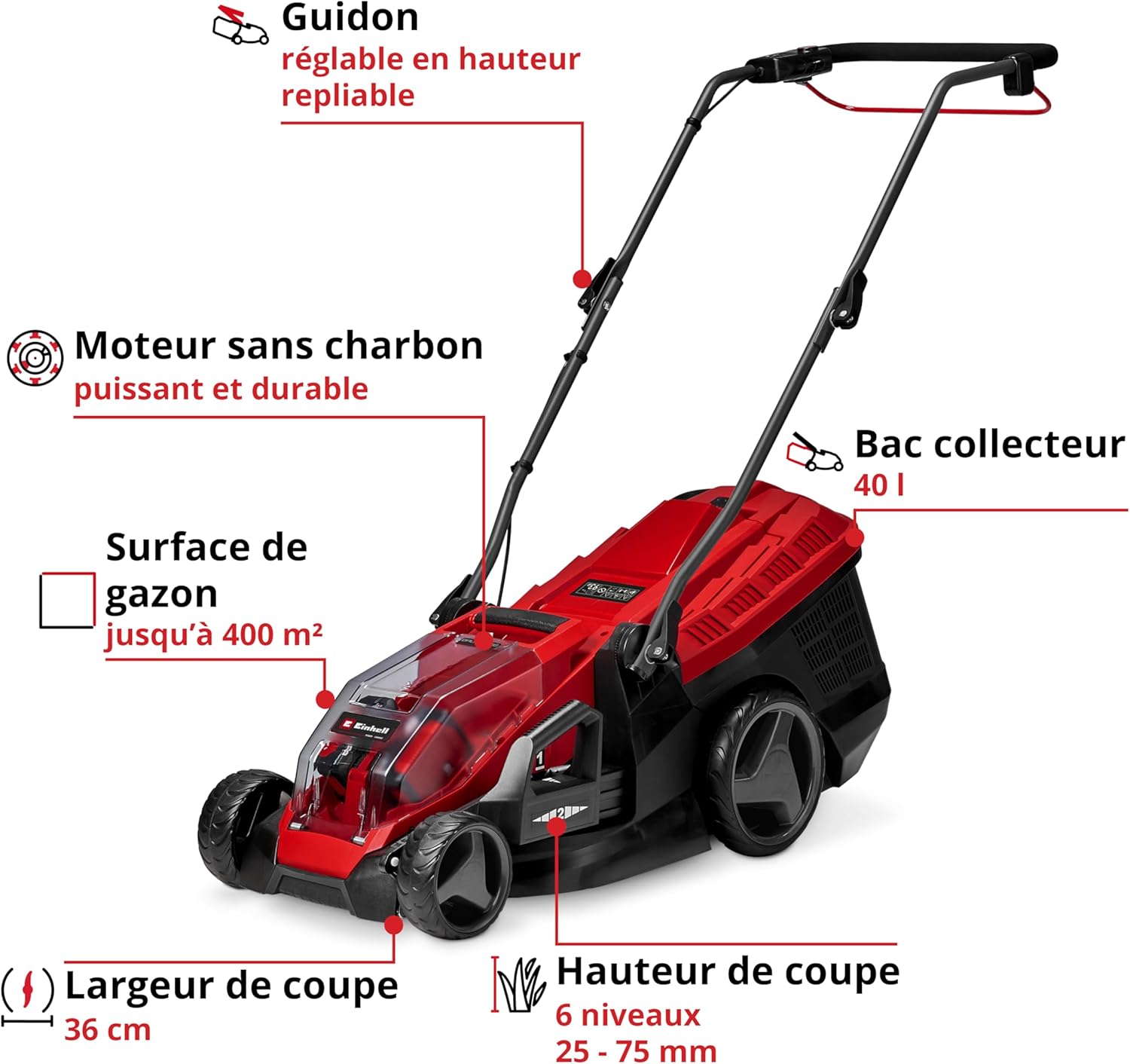 Einhell Tondeuse à gazon sans fil GE-CM 36/36 Li Kit Power X-Change (36V, largeur 36 cm, 400 m² max., sans charbon, bac collecteur 40 L, hauteur de coupe 25-75mm, avec 2 batteries 4,0Ah + 2 chargeurs)