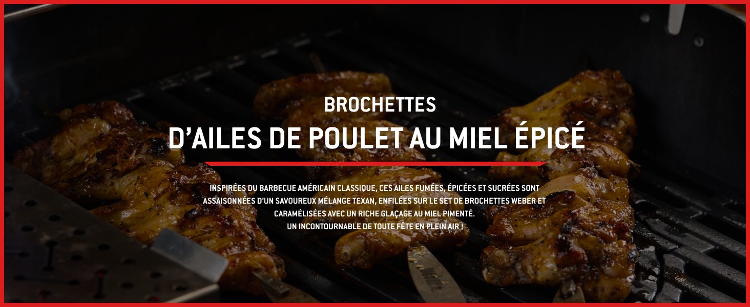 Le texte se lit comme suit : « BROCHETTES D'AILES DE POULET AU MIEL ÉPICÉ ». Bannière de photographie culinaire sombre et atmosphérique mettant en vedette ce qui semble être une préparation de viande.