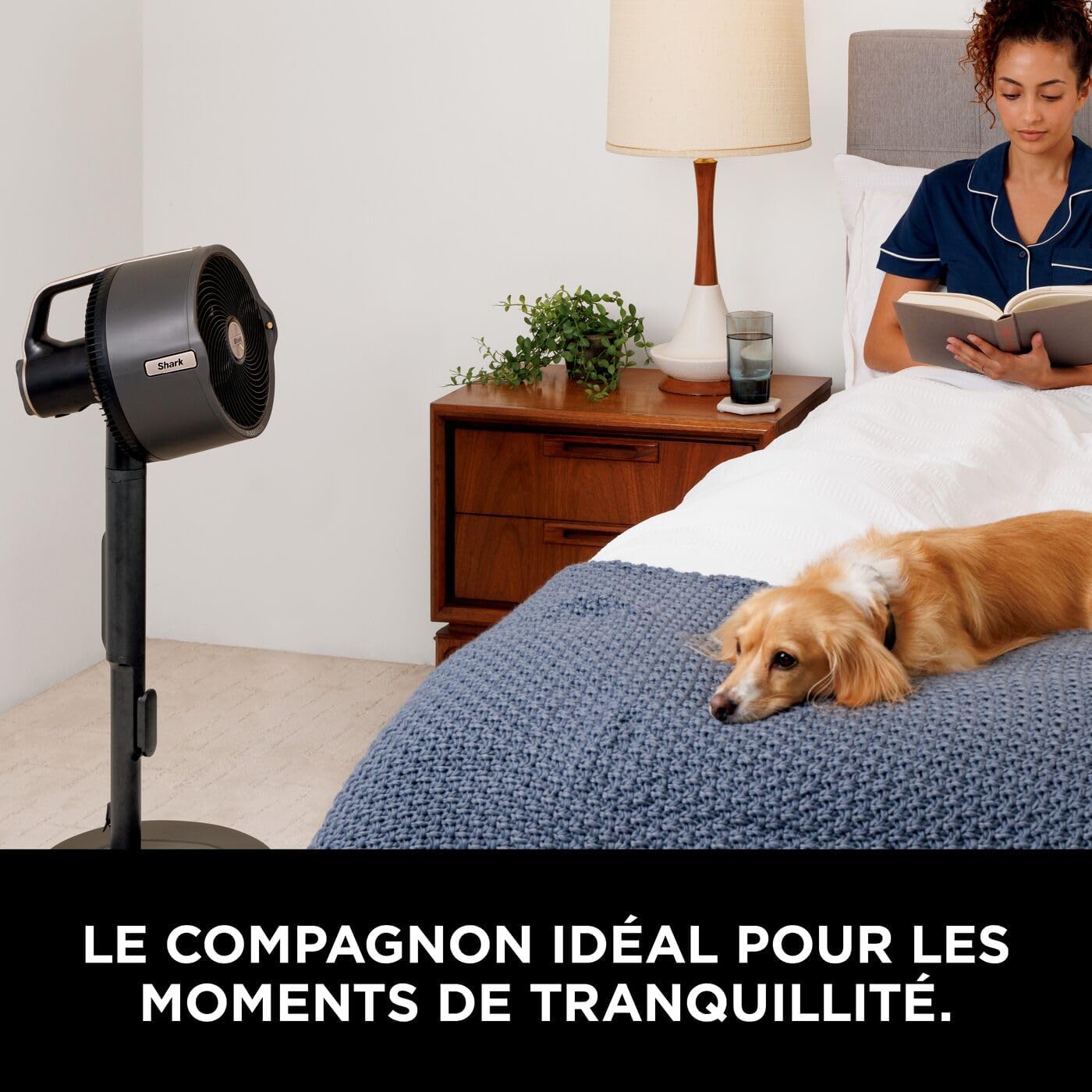 Shark - FlexBreeze Pro - ventilateur intérieur/extérieur - sans fil, brumisateur, 5 vitesses, télécommande, silencieux, 