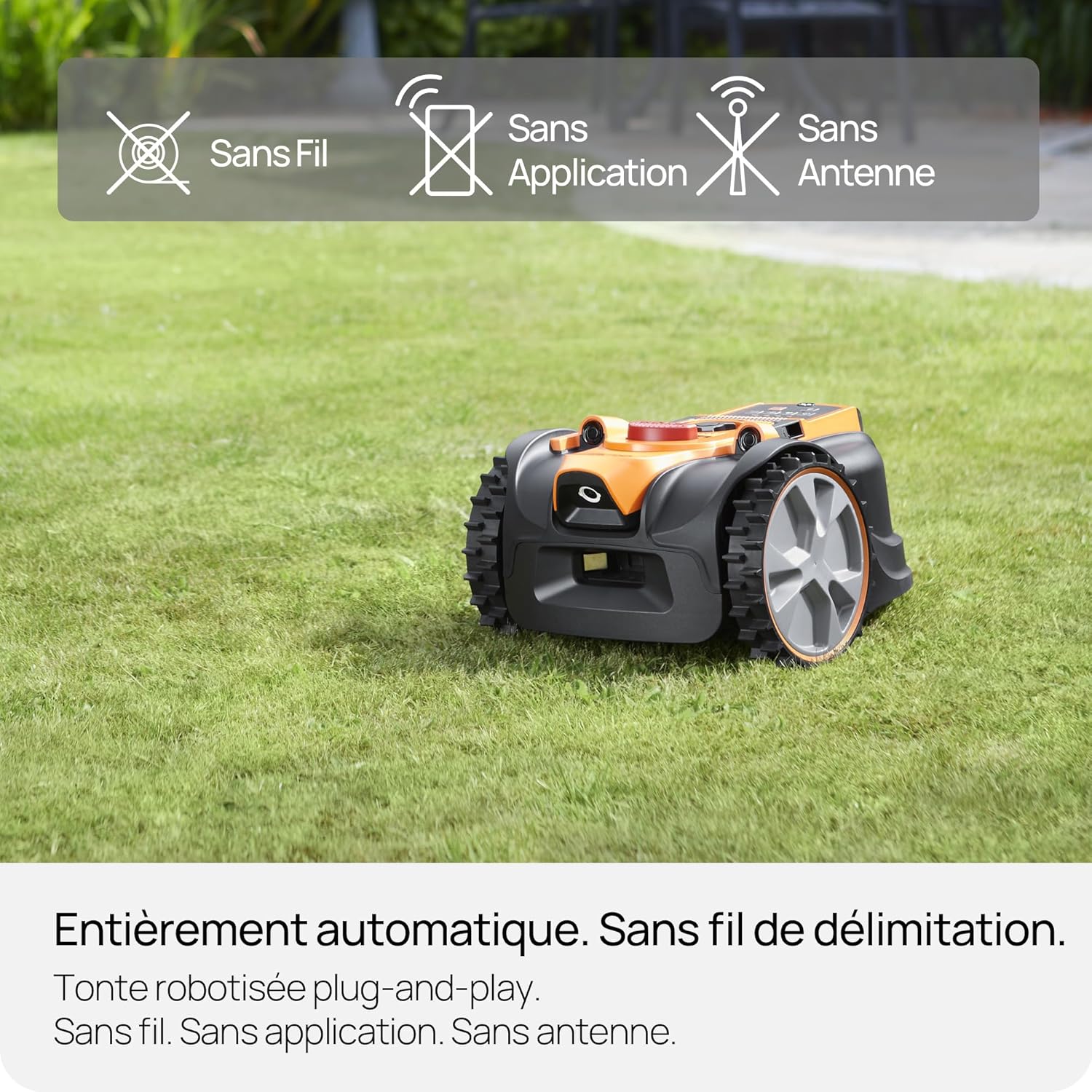 Lawnmaster - OcuMow 16 Série - 300㎡ - Évitement intelligent, navigation optique, charge automatique AMB16P2