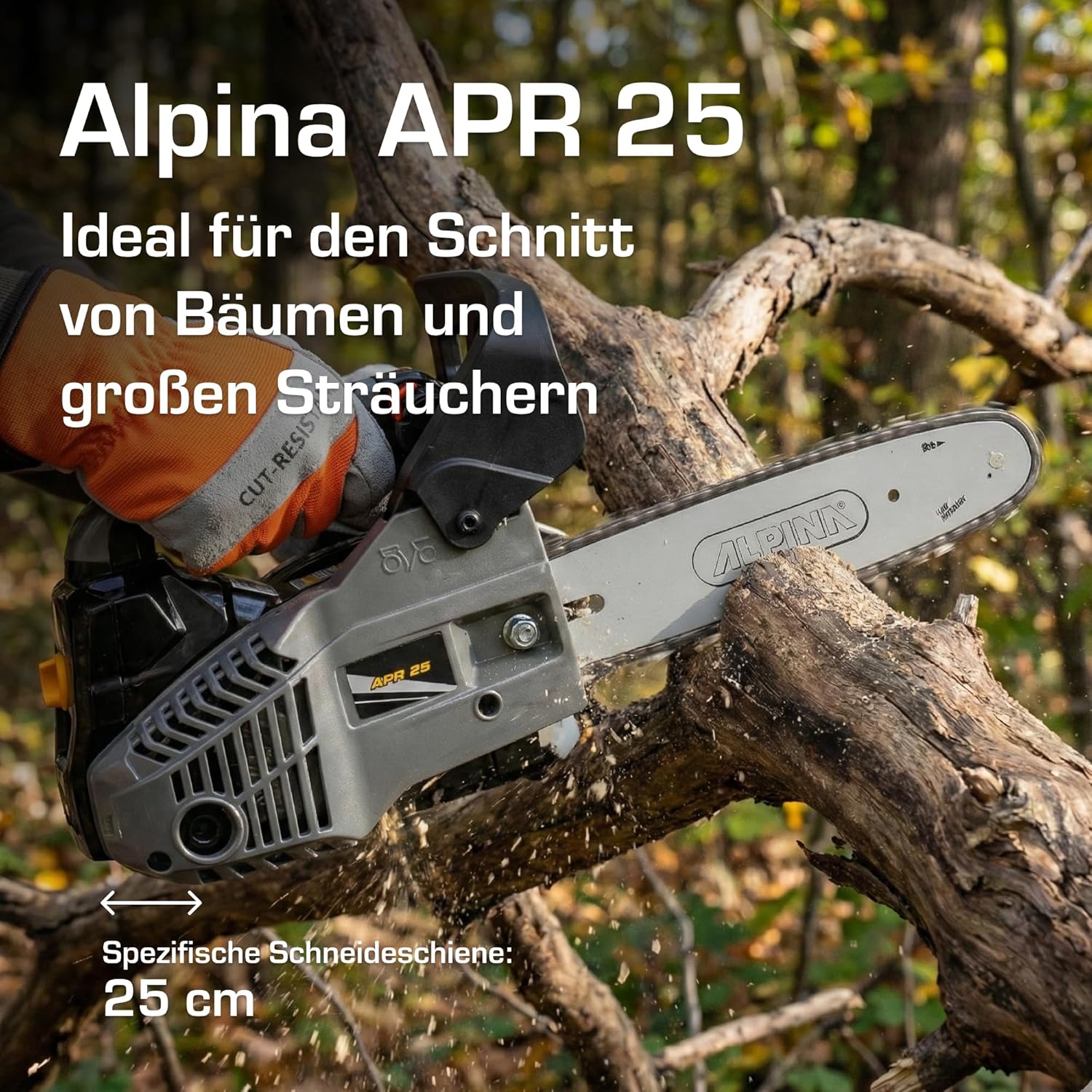 Alpina - APR 25 - guide 25 cm - moteur 25,4 cc, 900 W, chaîne 21 m/s