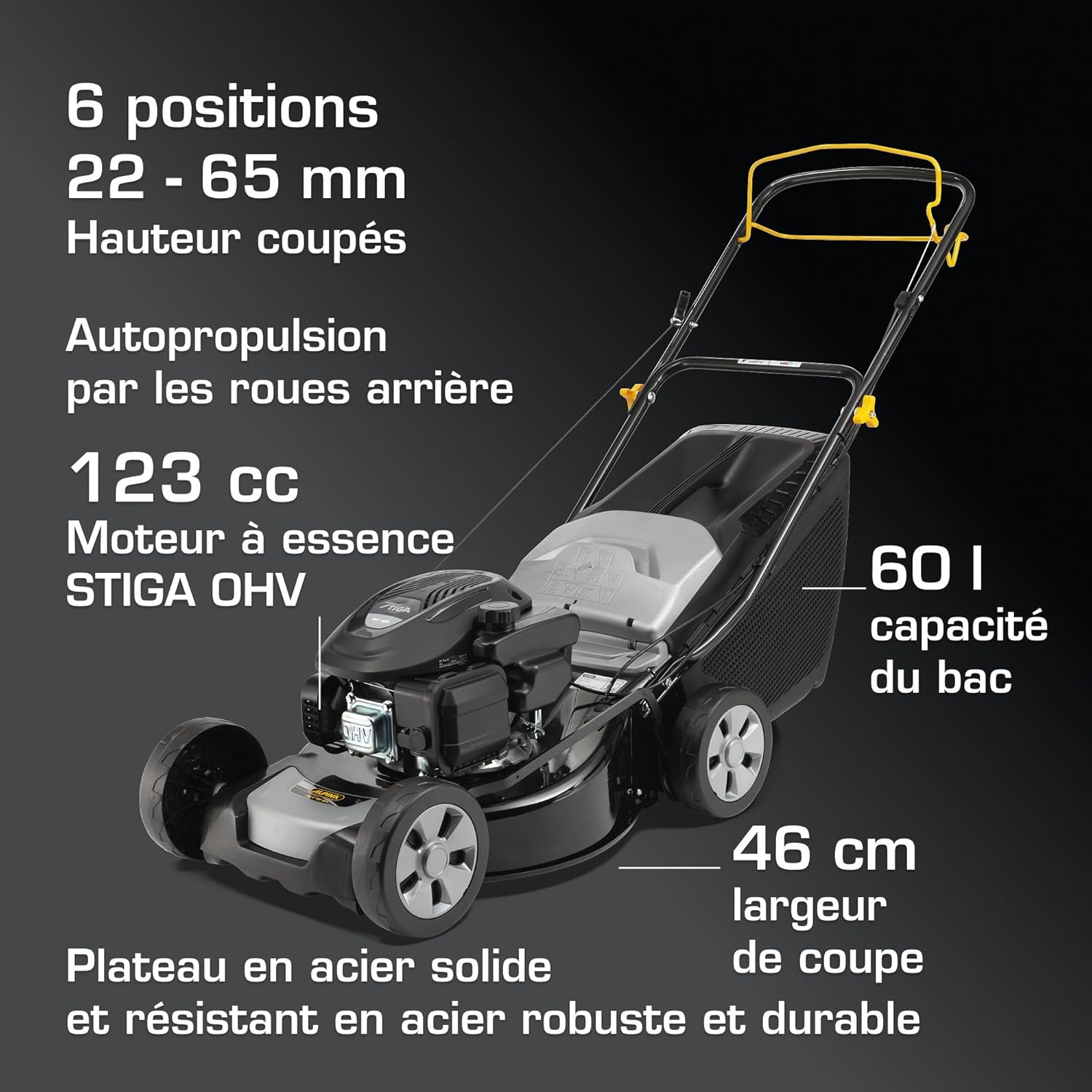 Alpina AL4 46 SA Tondeuse Thermique, 125 cm³, 46 cm – Bac 60 l, Autotractée – Pelouses jusqu'à 1 200 m²
