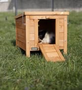 un lapin dans une niche pour chien
