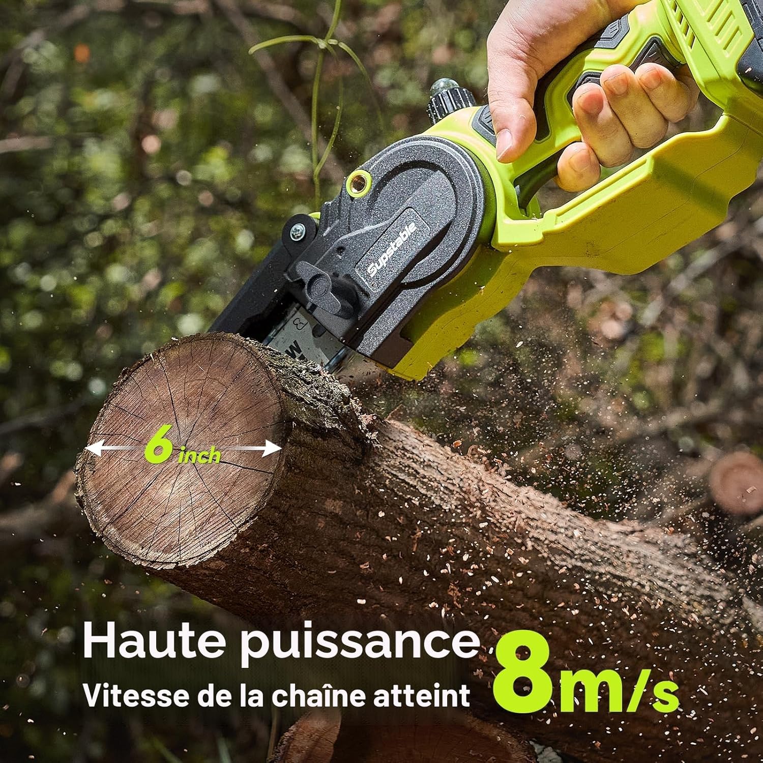 Supstable - élagueuse sur perche 6 pouces, portée 4,6m, 2x4000mAh