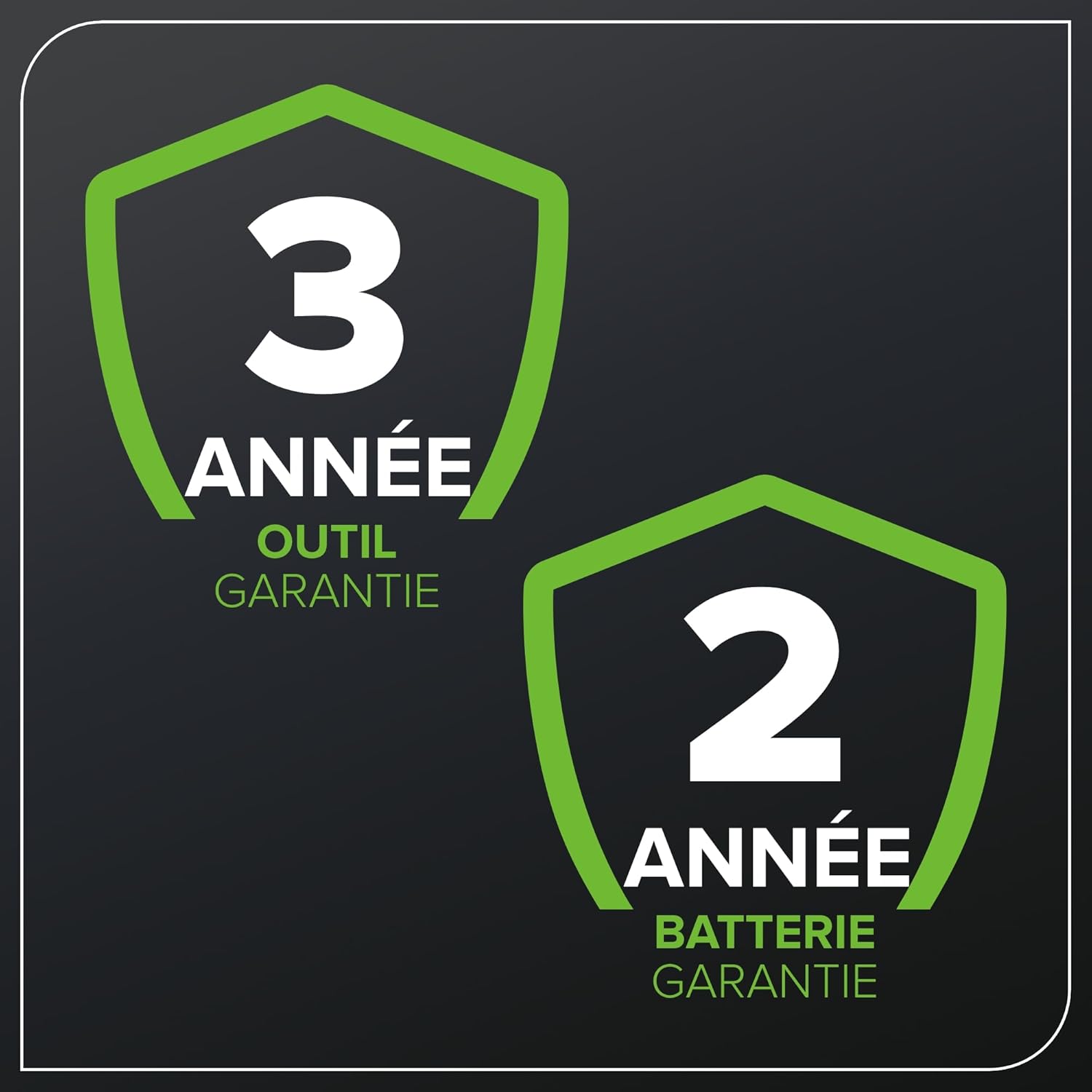 Greenworks 48V (24V x 2) Tondeuse à Gazon Sans Fil Autopropulsée Pelouses Jusqu'à 480m², Largeur de Coupe 46cm, Sac 55L, INCLUS 2 X 24V 4Ah et Chargeur Double, Garantie 3 Ans , GD24X2LM46SPK4X