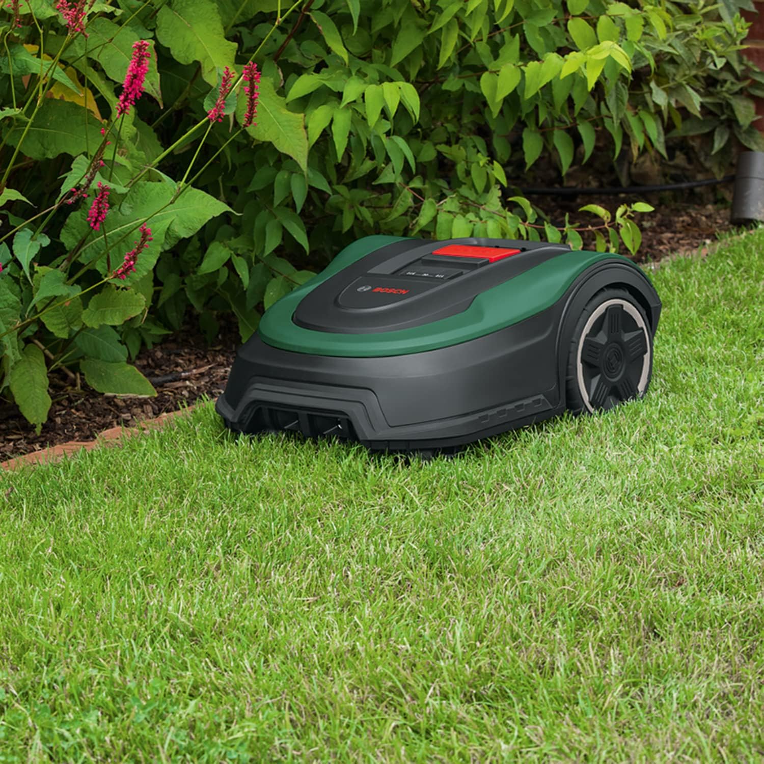 Bosch - Indego S 500 - 19 cm - Tonde jusqu'à 500m², batterie 18V