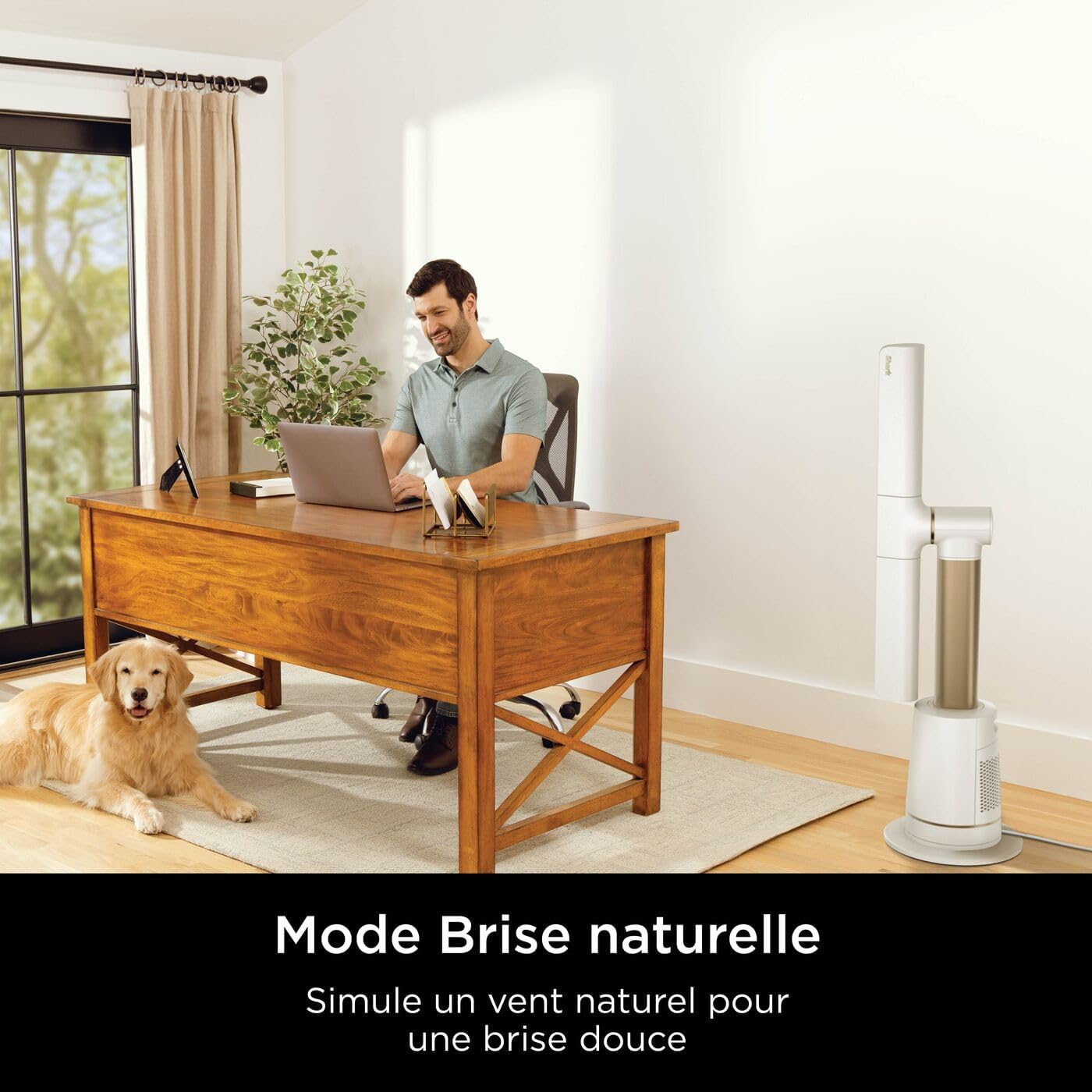 Shark TurboBlade Ventilateur colonne sans pale, Rafraîchissement multidirectionnel à haute vitesse jusqu’à 20 mètres, Discret, 10 vitesses, 180°, Facile à nettoyer, Blanc TF200SEUWH