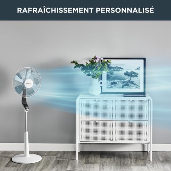 Rowenta - Turbo Silence sur pied - 45dB, 72m³/min, modes, VU5640F2