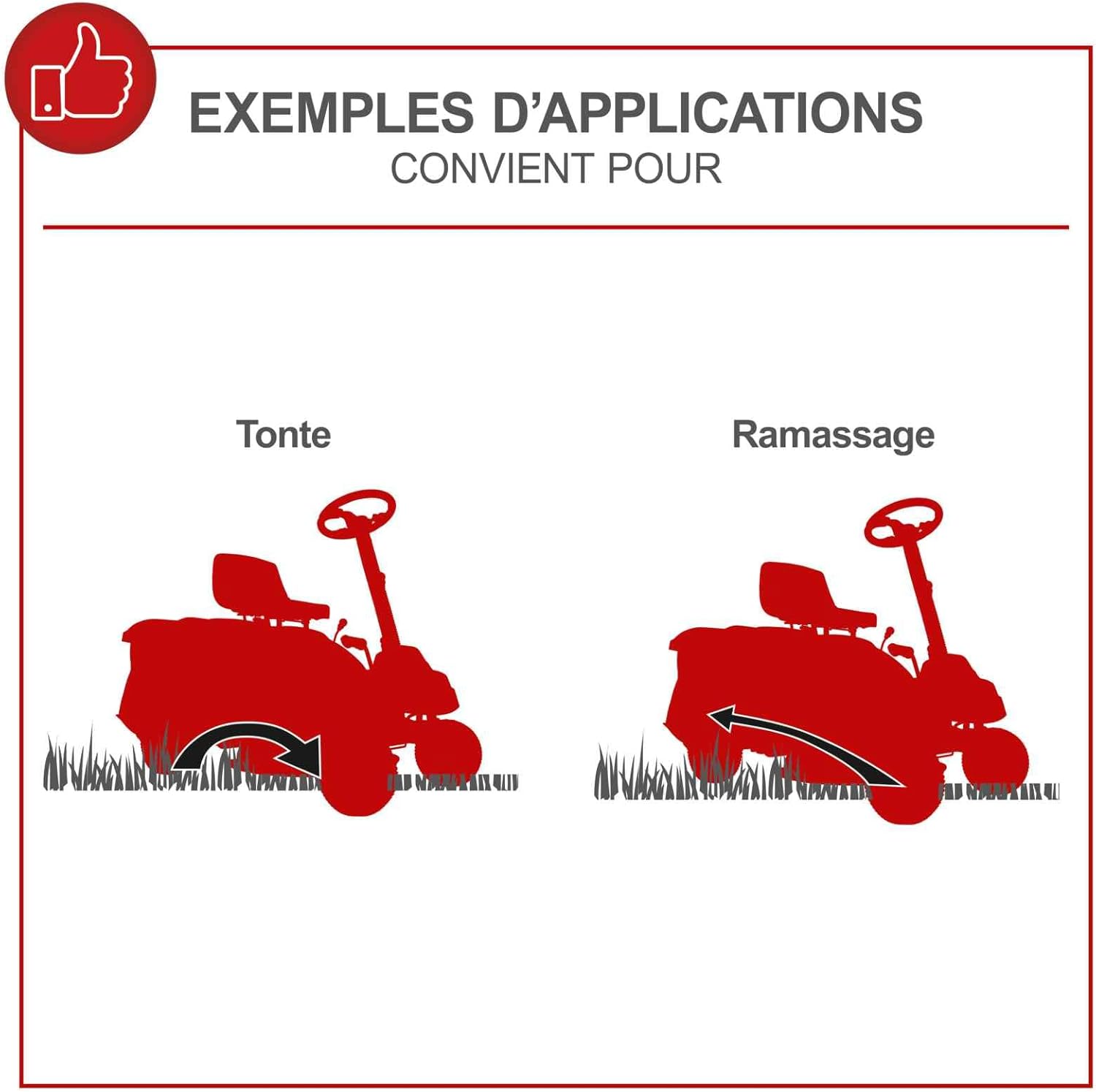 Scheppach - MR196-61 - 61cm - tondeuse thermique autoportée 6,5CV, bac 150L