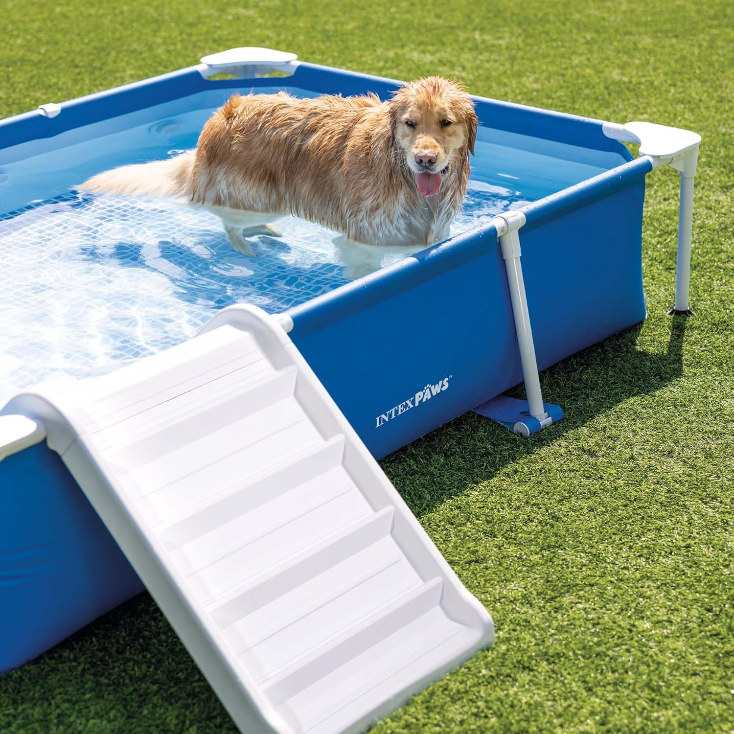 Intex - Piscine Tubulaire Animaux rectangulaire - kit complet - 48404NP
