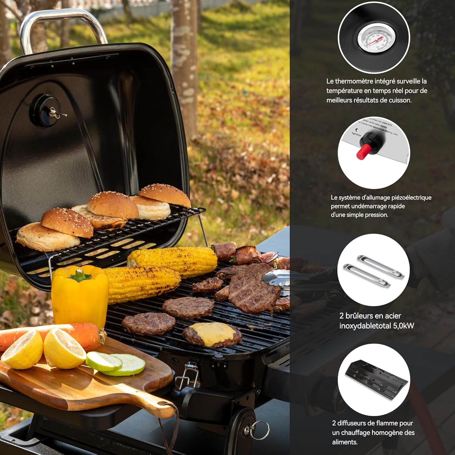 Royal Gourmet - barbecue gaz portable - 48x37 cm - 2 brûleurs, tables pliantes, chariot détachable, 5kW